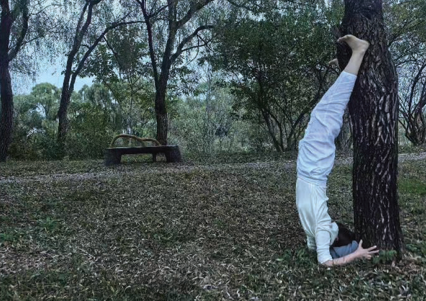 yog retreat in rishikesh, yoga teacher training in rishikesh